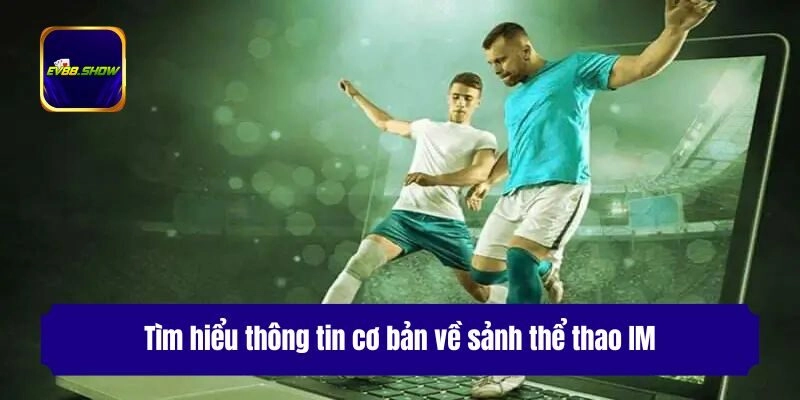 Tìm hiểu thông tin cơ bản về sảnh thể thao IM